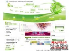 惠南镇企业网站建设指南 工厂网站制作与上海网站设计服务